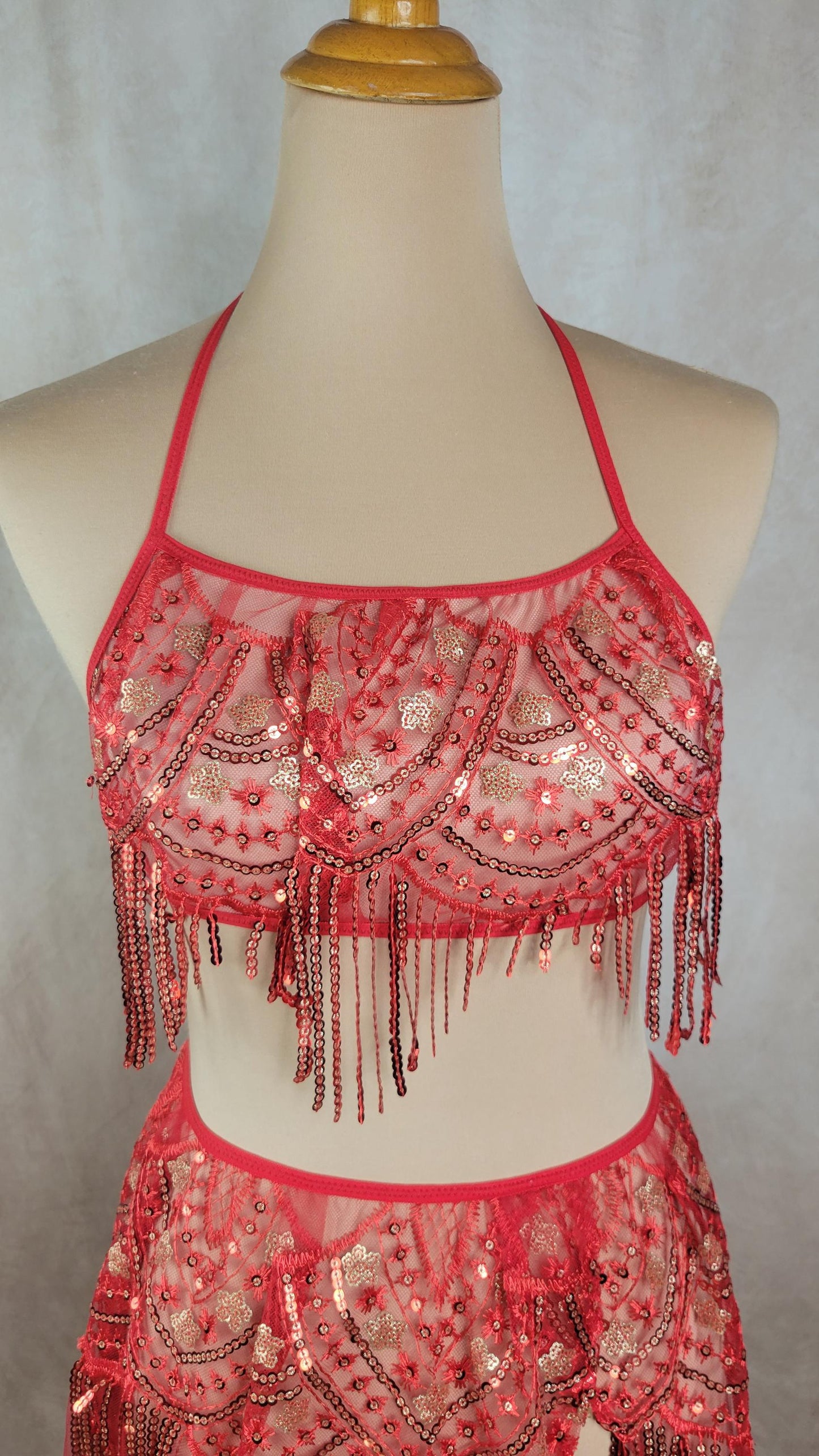 A GODDESS PHOENIX RISING Red Sequin Embroidery Set - Top and Skirt