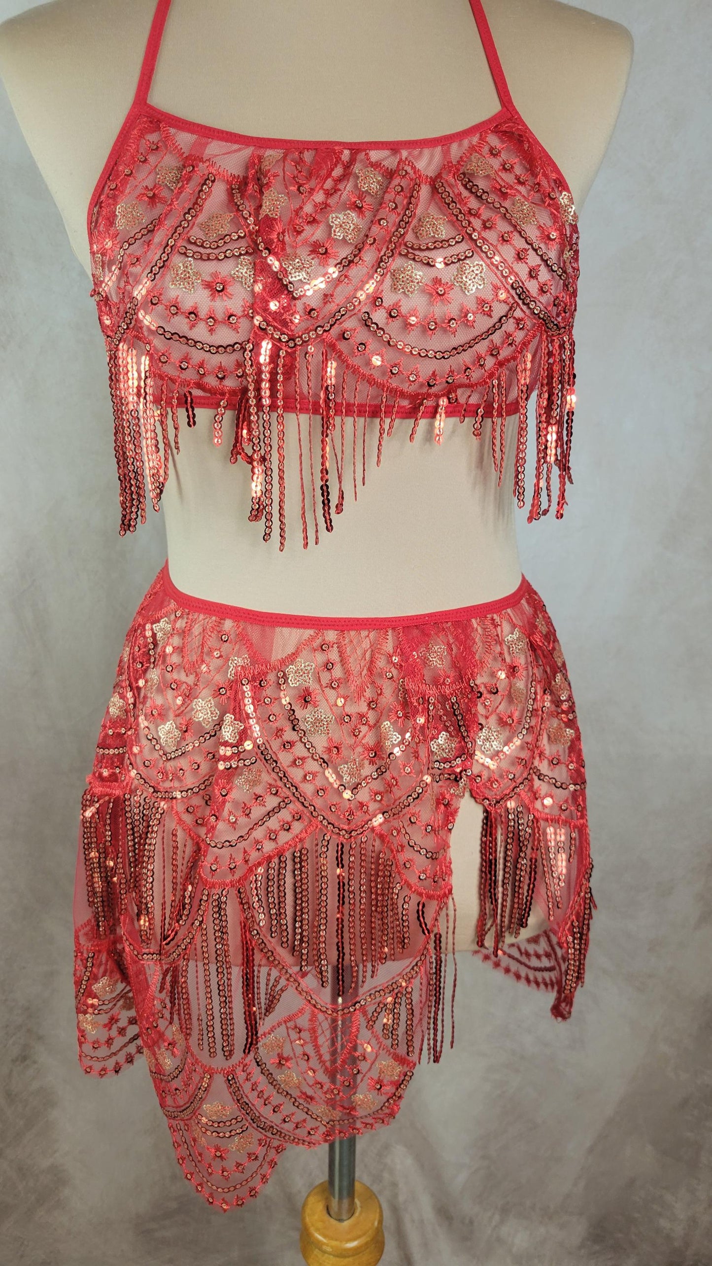 A GODDESS PHOENIX RISING Red Sequin Embroidery Set - Top and Skirt